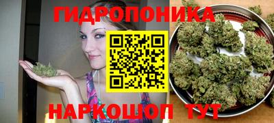 МДПВ Вышний Волочёк