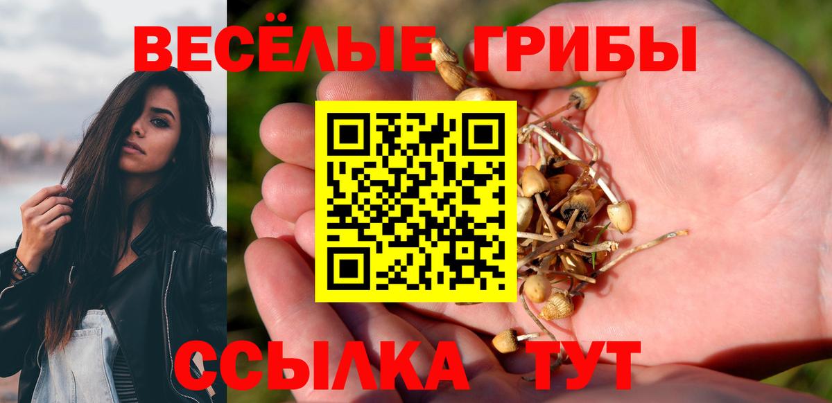 Галлюциногенные грибы Cubensis  дарнет шоп  Вход с VPN  Сатка  Галлюциногенные грибы MAGIC MUSHROOMS 